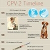 Infographics