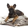 Institute Newsletter