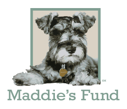 http://www.maddiesfund.org/assets/documents/About%20Us/Logos/Logo/maddies_color_3-5in_72dpi.jpg