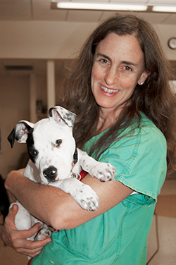 Bio photo of Dr. Sandra Newbury, smiling in green scrubs, holding a black and white dog