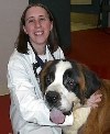 Bio photo of Dr. Amie Burling smiling, embracing a St. Bernard dog