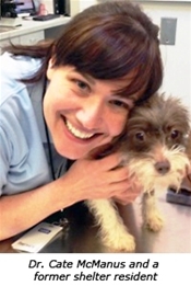 Image of Dr. Cate McManus, smiling and hugging a little gray and white - caption says 