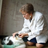 Bio photo of Dr. Jan Scarlett in a white lab coat, examining a cat