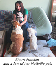 Photo of Sherri Franklin sitting on a bed, greeting four dogs of varying sizes and breeds