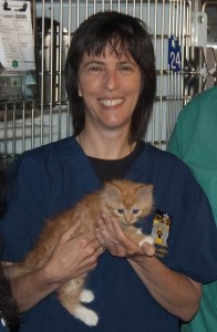 Bio photo of Dr. Kate Hurley, smiling in blue scrubs holding an orange cat