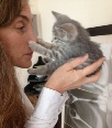 Side view photo of Dr. Sandra Newbury holding a gray kitten up to her face