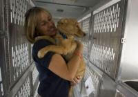 Bio photo of Tracy Roddom, holding a dog in a shelter setting