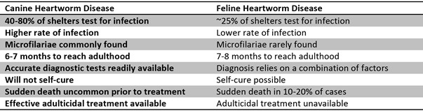 A graphic showing a list highlighting some of the differences between canine and feline heartworm disease