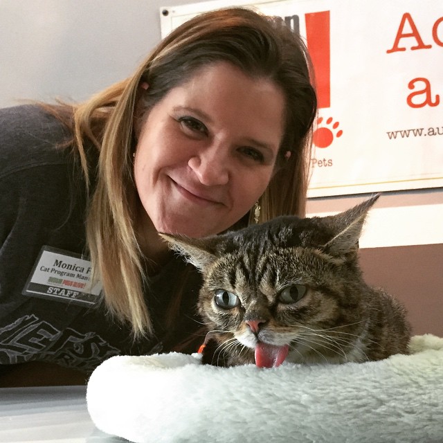 Bio photo of Monica Frenden smiling next to a tan and black cat