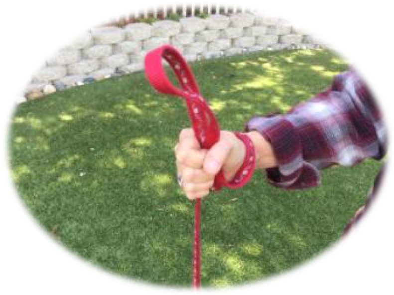 Photo illustrating the palm method of holding a leash