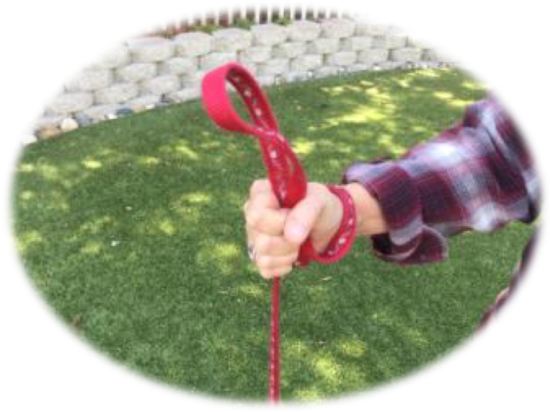 Photo illustrating the palm method of holding a leash