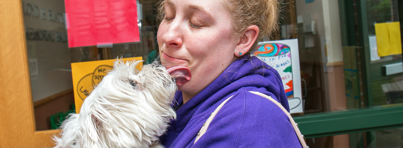 Photo of a small white dog, licking the face of a smiling woman