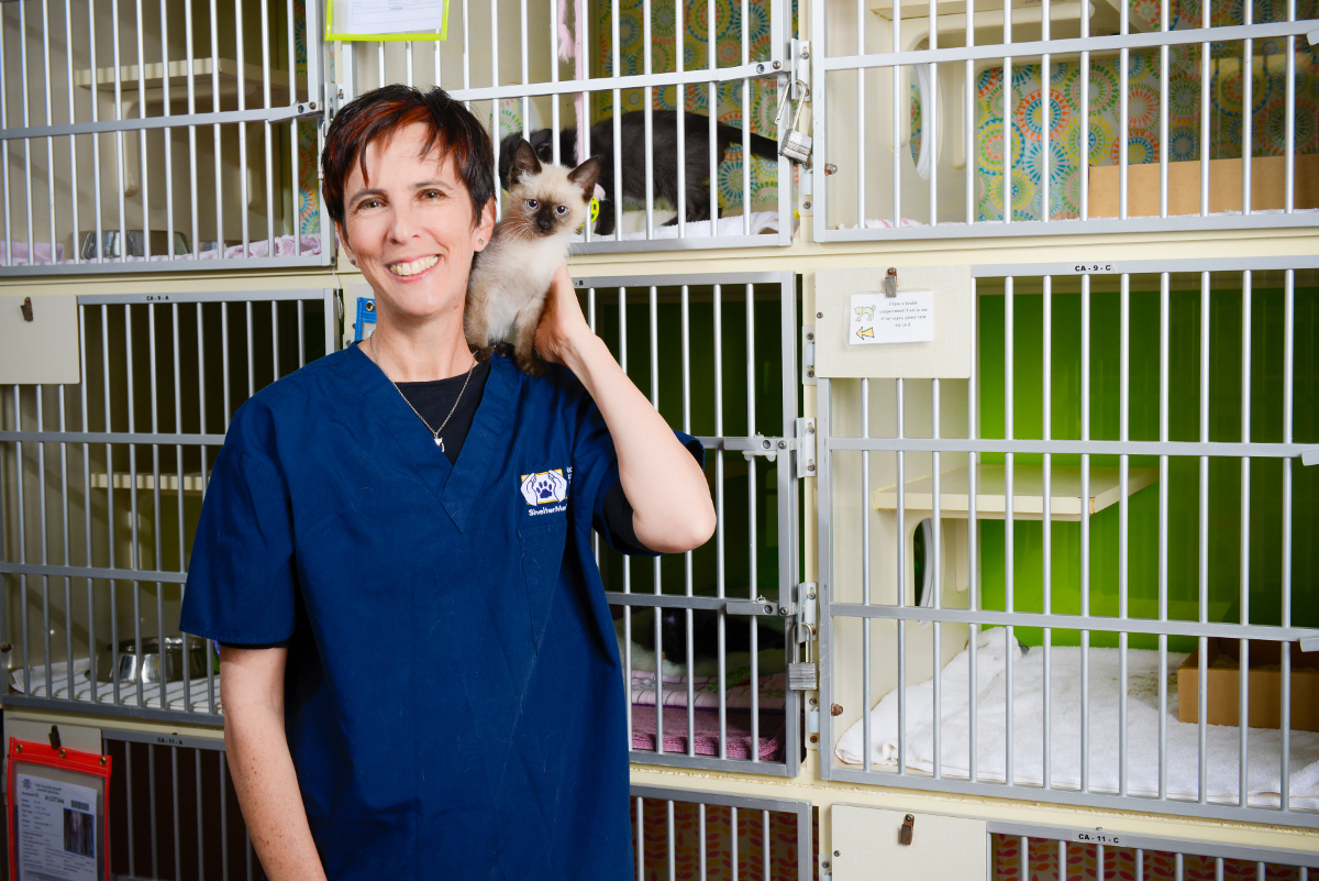 Bio photo of Dr. Kate Hurley, smiling in blue scrubs, in a shelter holding a siamese cat on her shoulder