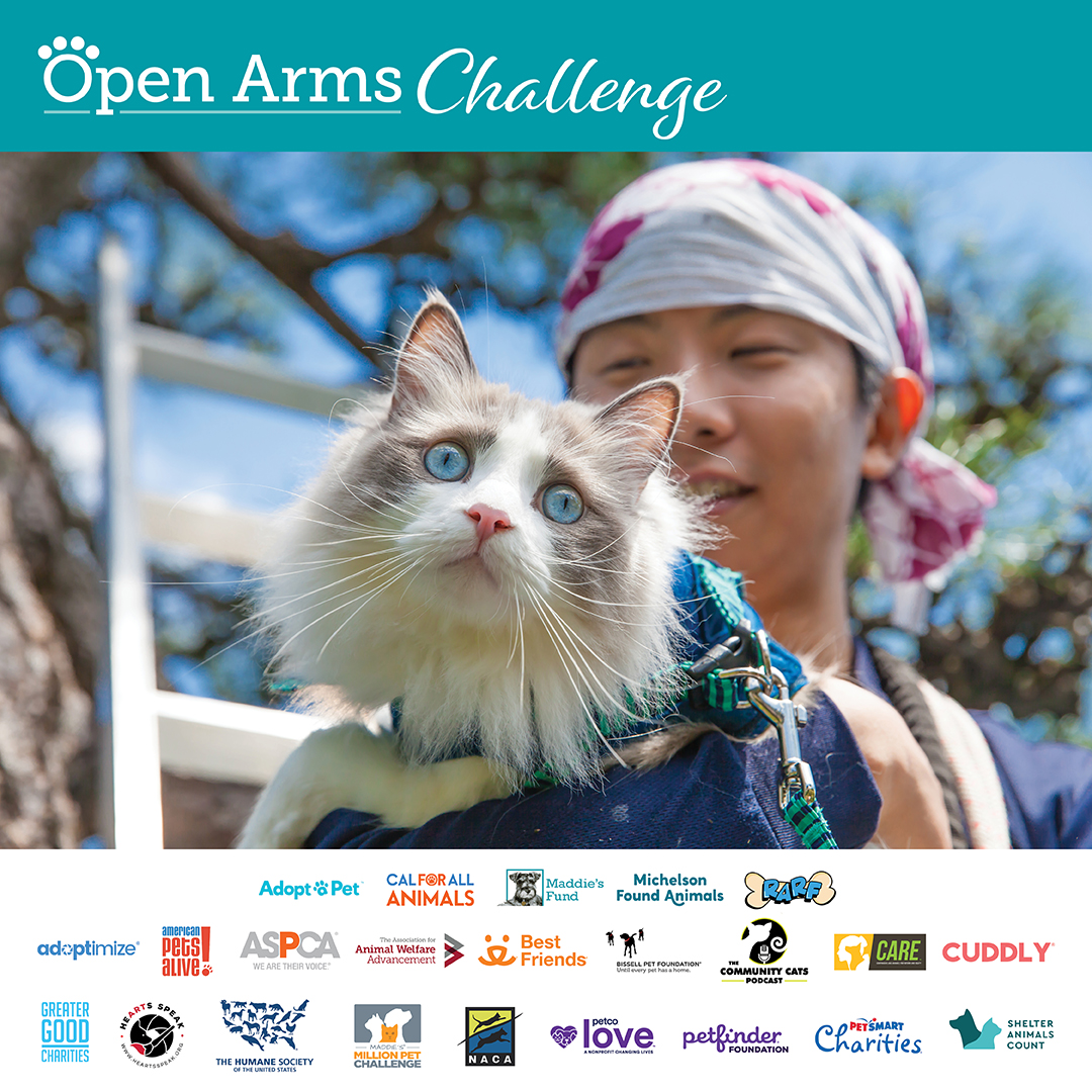 Looking for new ways to support your entire community? Join us in the Open  Arms Challenge 2023! » Shelter Medicine Program » College of Veterinary  Medicine » University of Florida