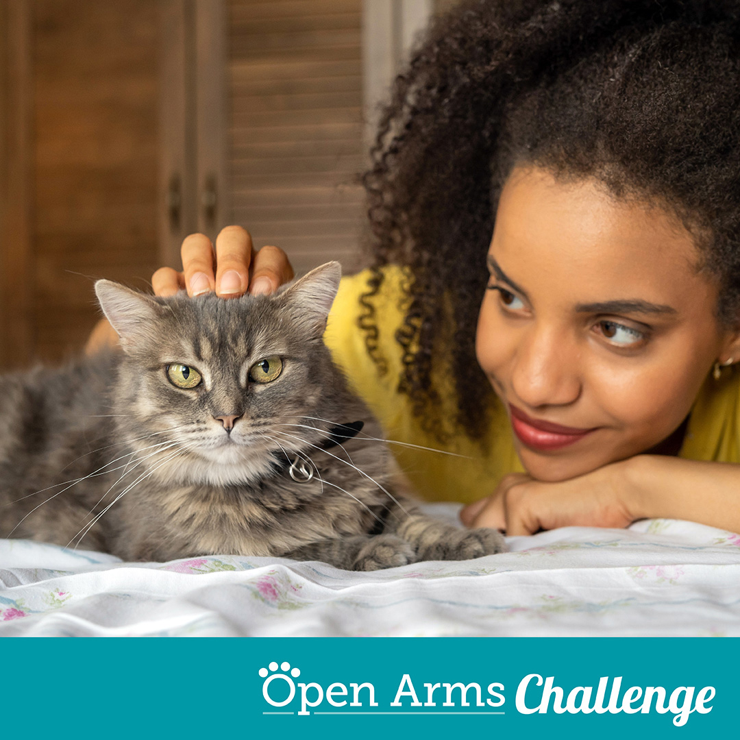 Open Arms Challenge graphic showing young woman on bad petting cat