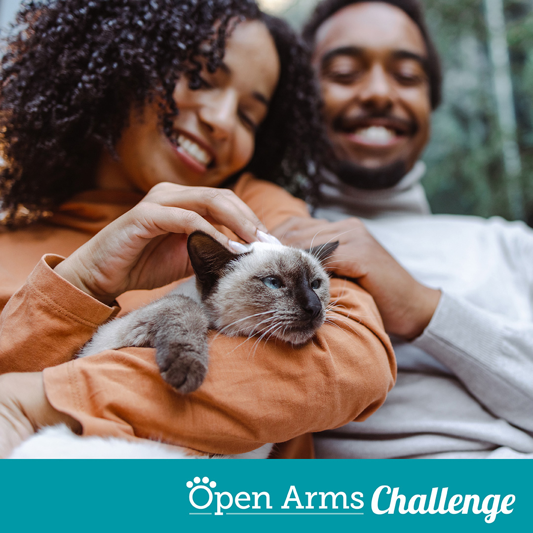 Open Arms Challenge Graphic showing young couple outside holding and petting cat
