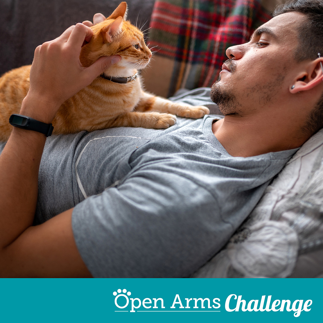 Open Arms Challenge Graphic showing young male laying on couch petting cat