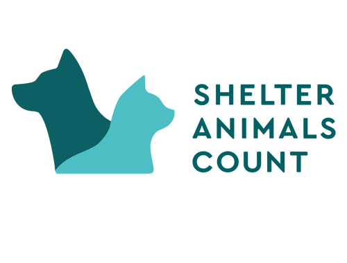 Shelter Animals Count