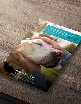 annual report back cover