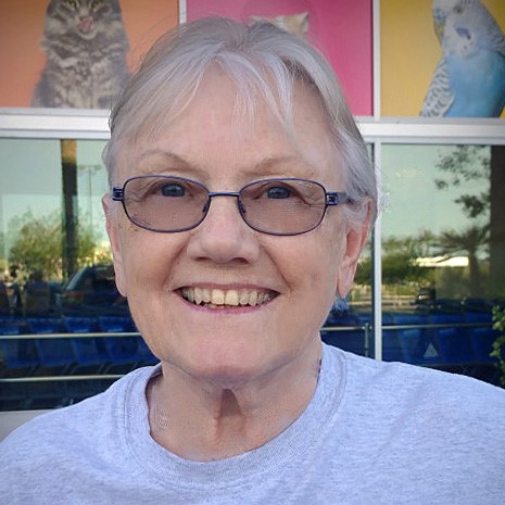 Bio photo of Carol Fox, smiling