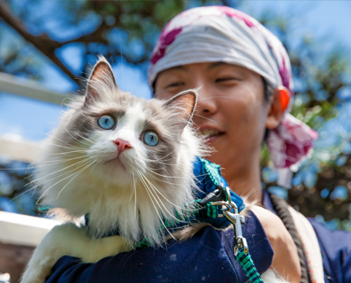 Man and cat taking a walk