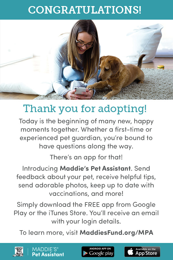 Pet Assistant Foster Email