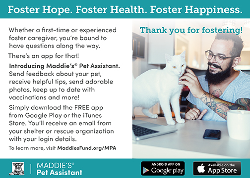 Foster Postcard