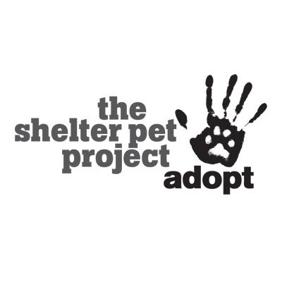 Shelter Pet Project