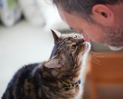 Man and cat touching noses in affection