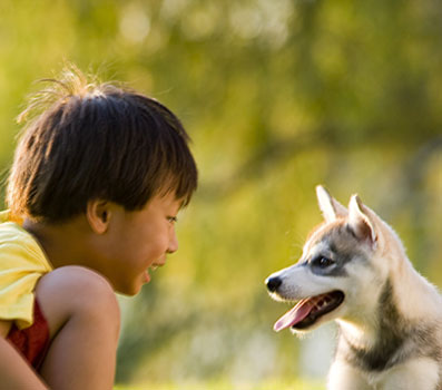 Small smiling boy and puppy facing each other in an outdoor setting