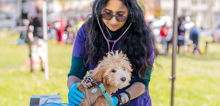 Access to Veterinary & Behavior Care is Fundamental