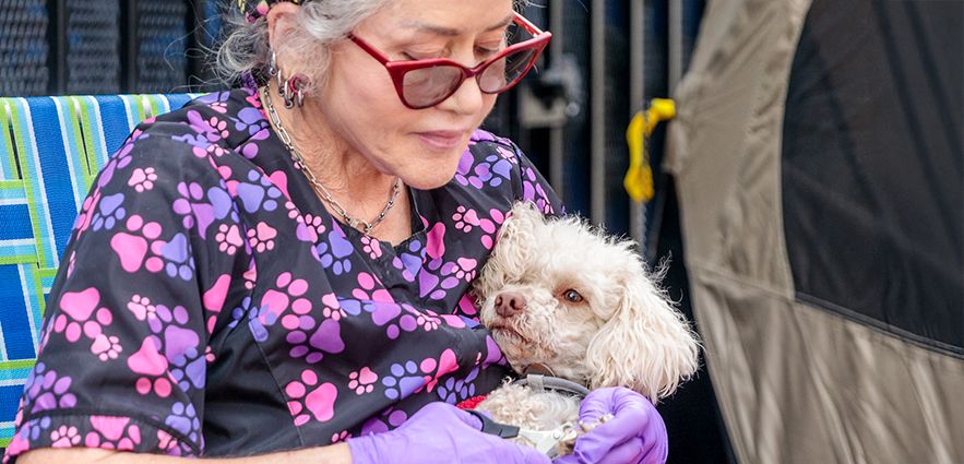 Access to Veterinary & Behavior Care is Fundamental