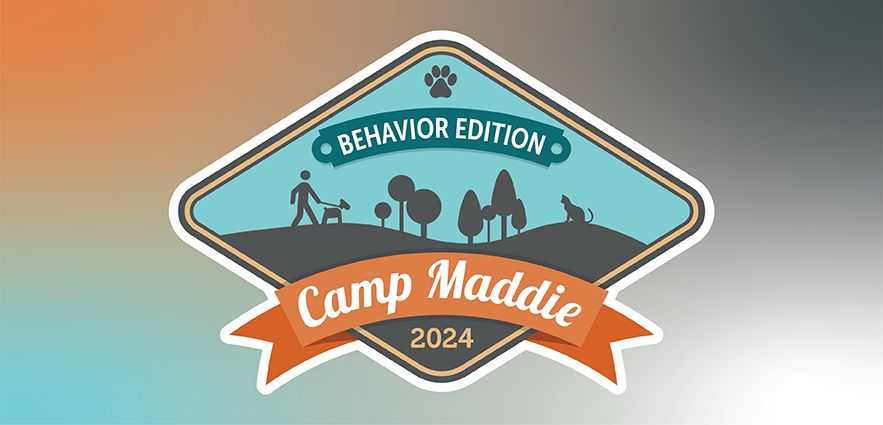 Register for Camp Maddie: Behavior Edition