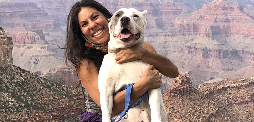 Ask the Expert! Keeping Tenants & Their Pets Together