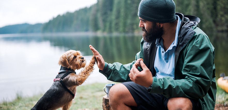 Creating Better Futures for Pets
