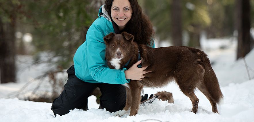 Maddie's Insights: Using Science to Improve Human-Animal Bonds and Welfare