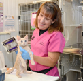 Photo of Dr. Cindi Delany, smiling in pink scrubs, holding a small cat in a clinical setting