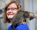 Bio photo of Dr. Julie Levy smiling in a blue shirt, with a cat on her shoulder