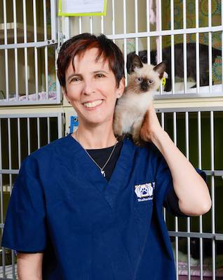 Bio photo of Dr. Kate Hurley, smiling in blue scrubs, in a shelter holding a siamese cat on her shoulder