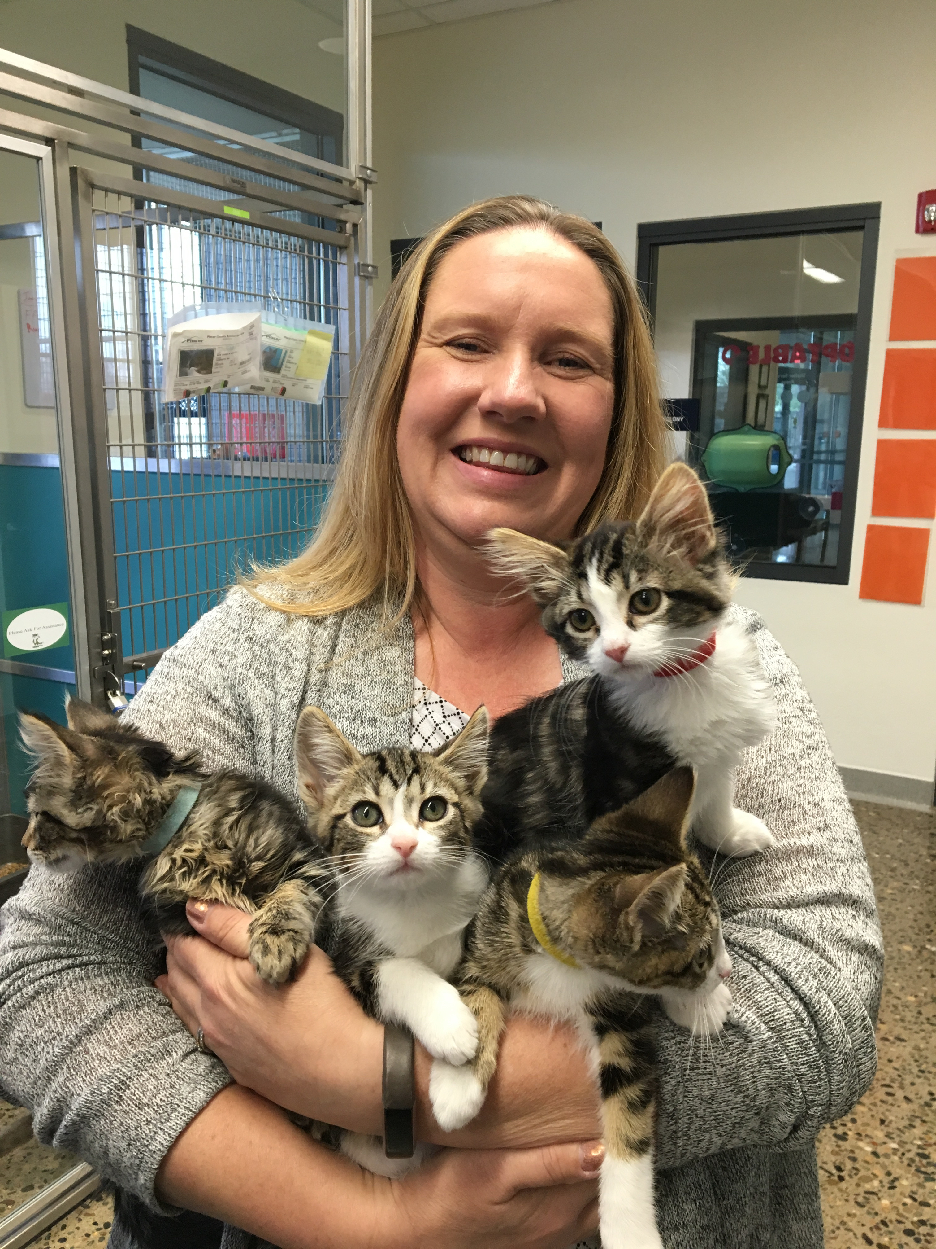 Bio photo of Katie Ingram smiling and holding four cats