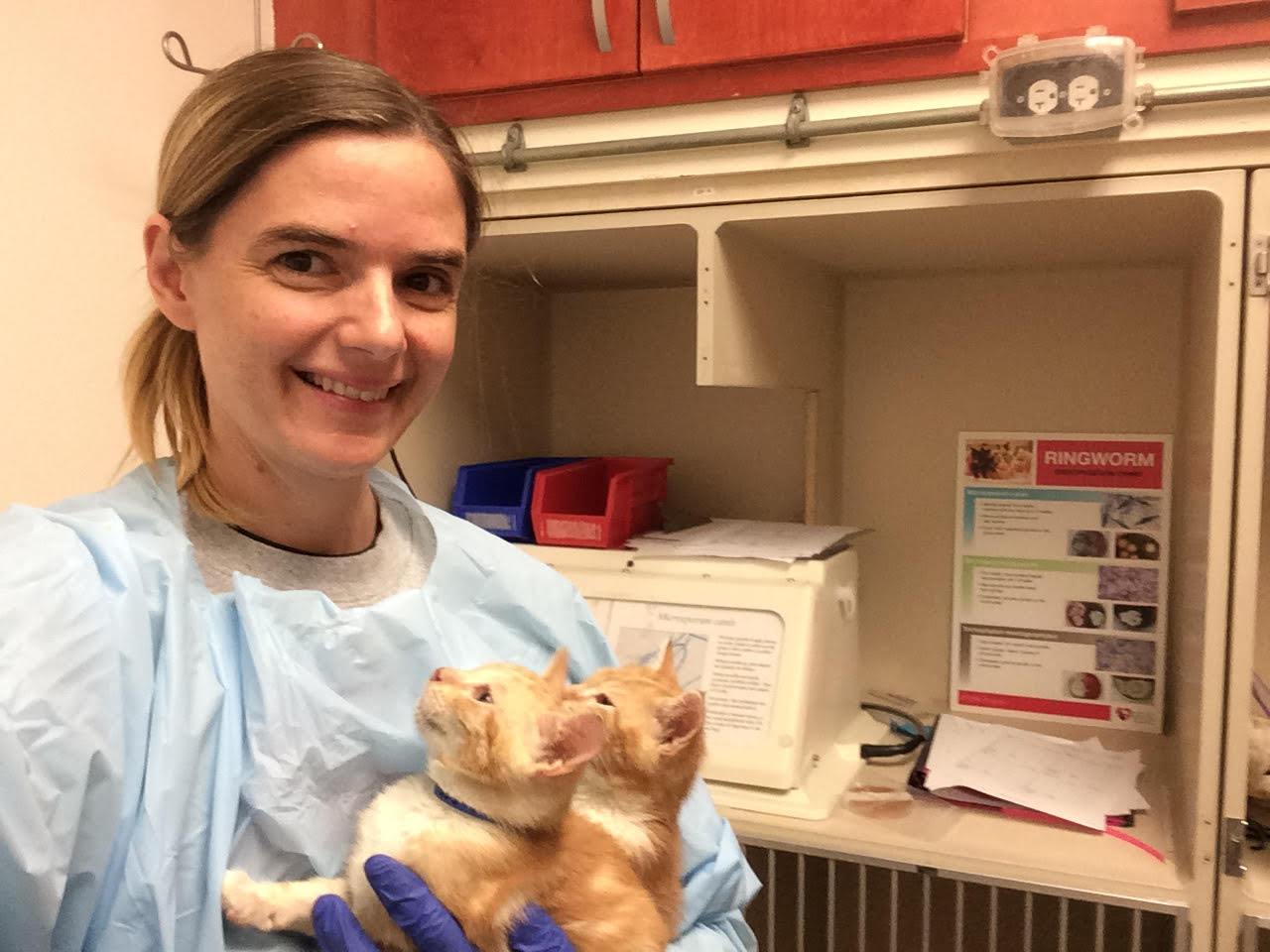 Bio photo of Laura Mullen, smiling and holding a cat in a veterinary setting