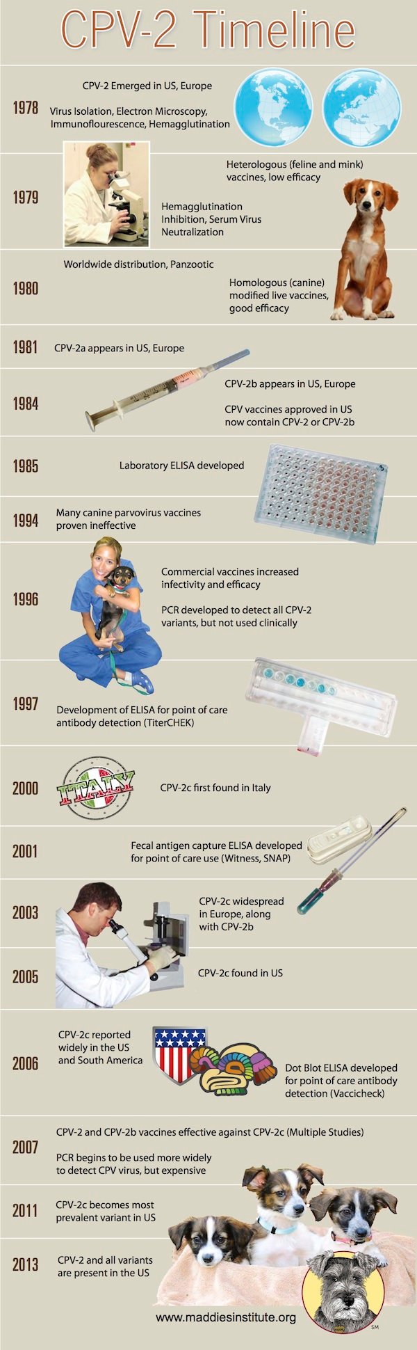 Graphic showiing a timeline over years, of CPV-2 research and treatments