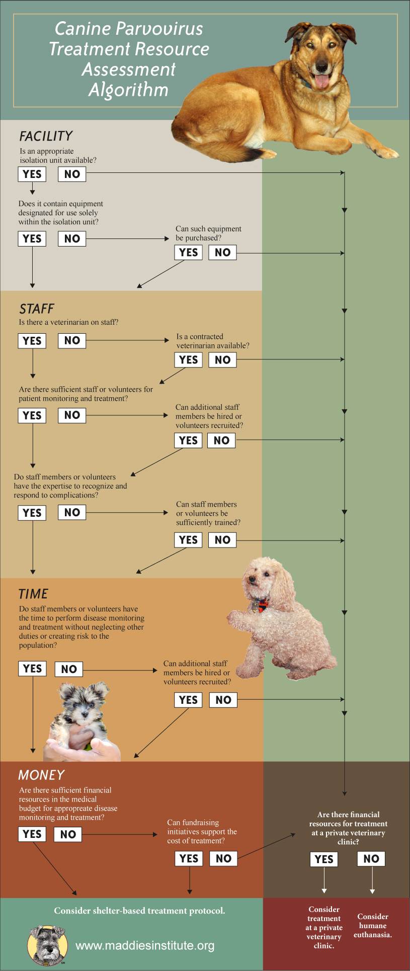 Graphic showing decision making flowchart for the Canine Parvovirus Treatment Resource Assessment Algorithm