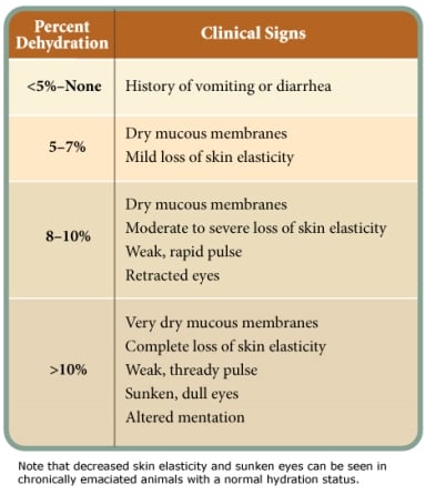 Dehydration In Dogs Signs Treatment Wolf Spring