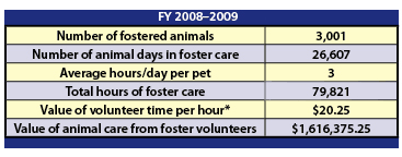 Graphic of a chart showing volunteer data from fiscal year 2008-2009